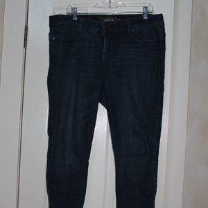 Torrid Premier Blue Jeans